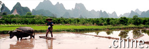 Chine Chine