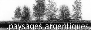 Natures mortes argentiques Natures mortes argentiques