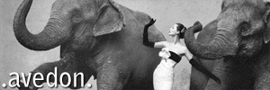 Richard Avedon Richard Avedon