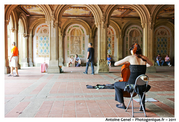 Portraits New Yorkais